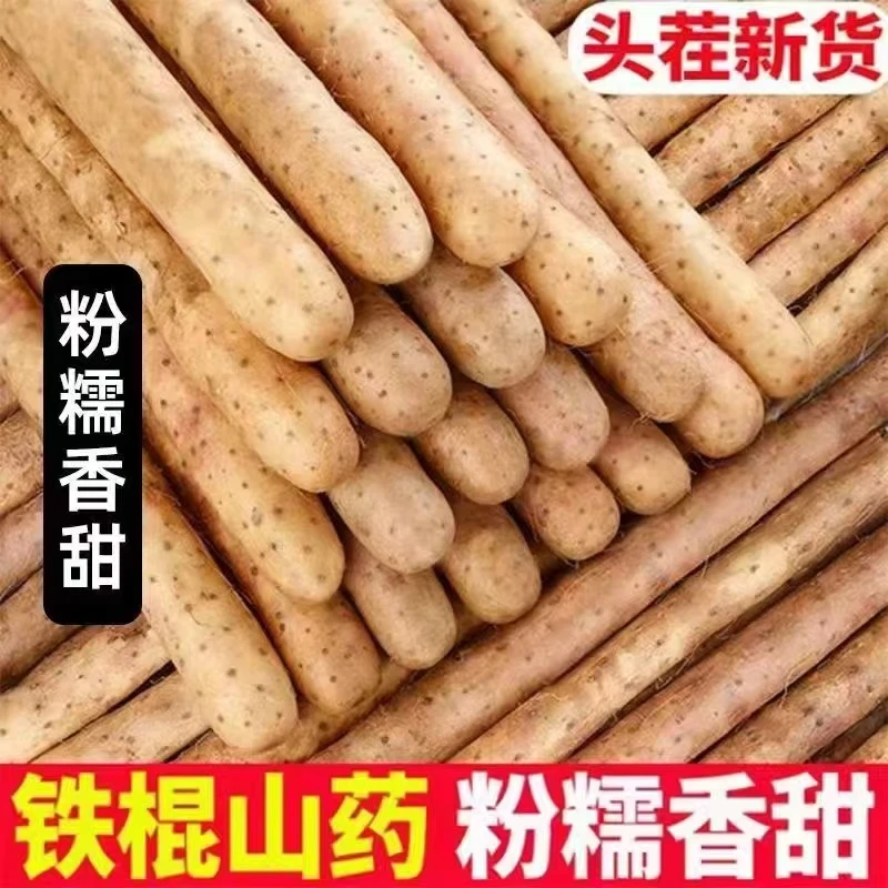 【现摘现发]正宗新鲜采摘粉糯铁棍山药5斤装30-50