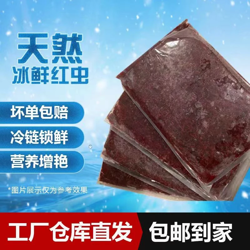 大号宠物鱼喂养冻板实用方便