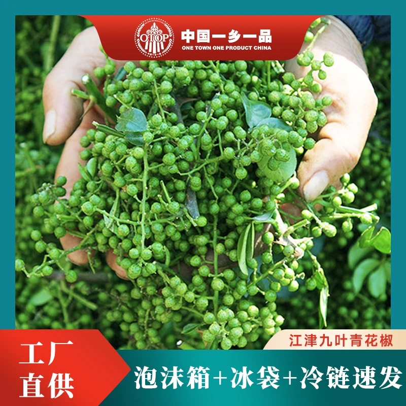 九叶青鲜青花椒新鲜优质350g/袋清香浓郁真空包装产地直发