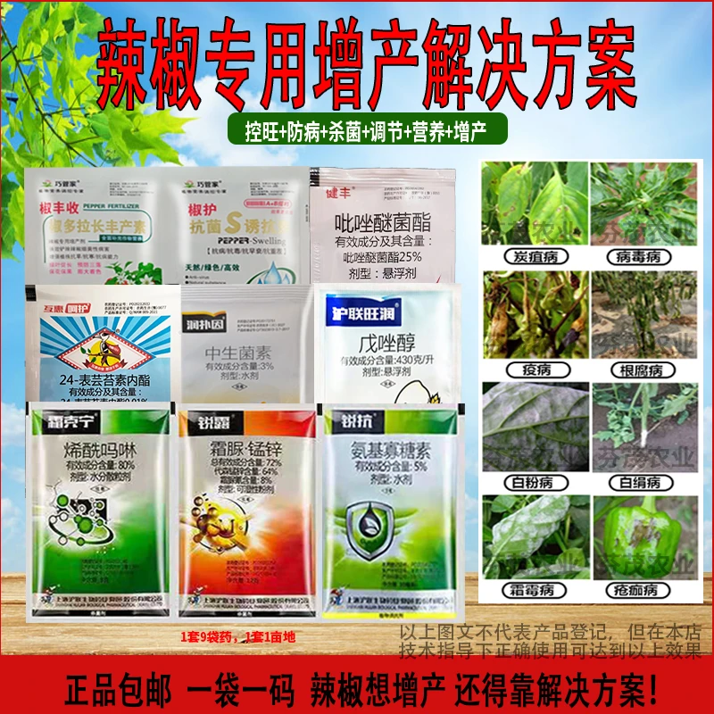 辣椒专用辣椒增产高产解决方案杀菌杀虫膨大拉长营养农药杀菌剂