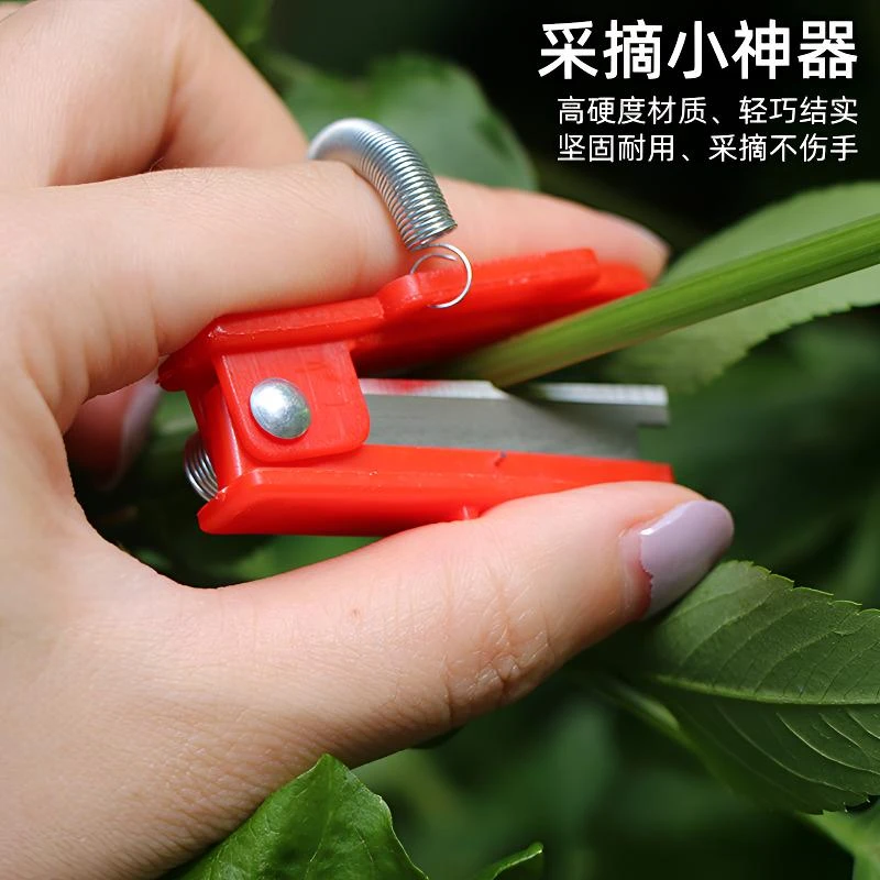 蔬果采摘小铡刀采摘蔬菜豆角樱桃葡萄花椒采摘刀掐尖掐须刀拇指刀