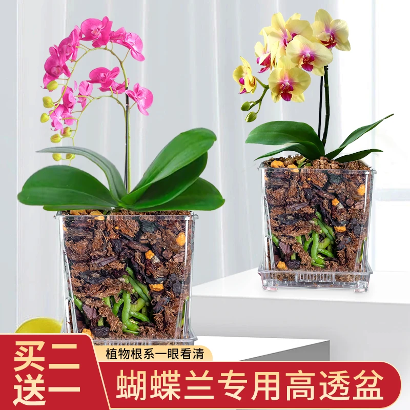 高透明塑料方形带底孔透气桌面创意耐晒水培花盆蝴蝶兰洋兰花盆