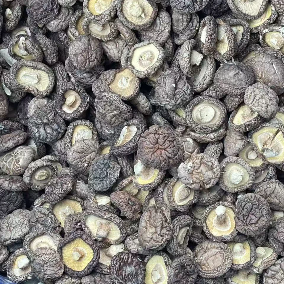 【素贞推荐】精品香菇干