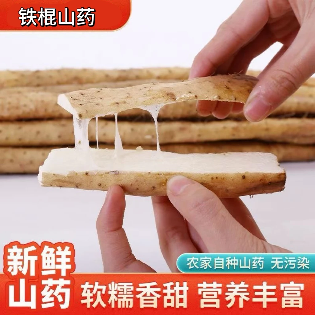 河北蠡县铁棍山药新鲜现挖3斤/5斤