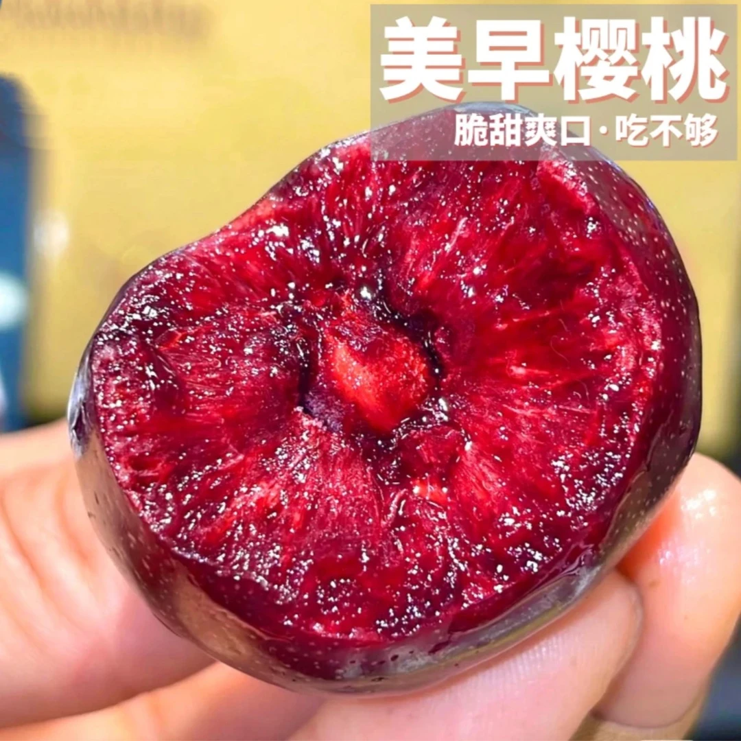 「稀有」7J美早大樱桃1.8-4.8斤新鲜脆甜多汁 顺丰空运 内附果径卡