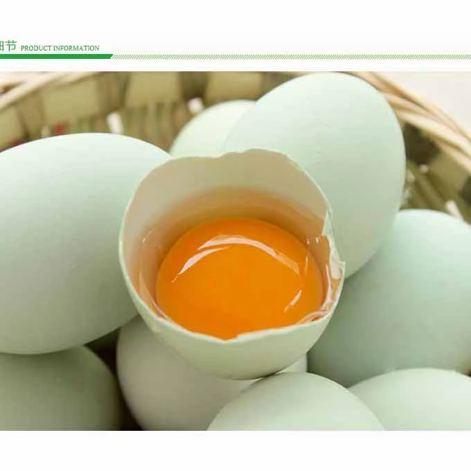 新鲜黑鸡蛋 绿鸡蛋 天然原生农场散养