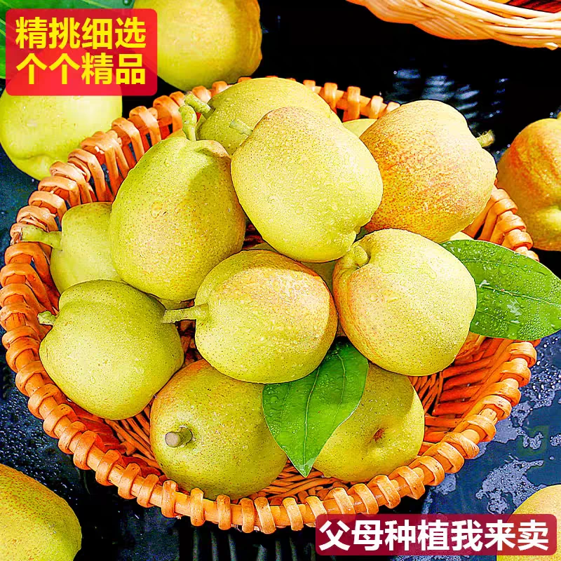 【顺丰包邮】正宗新疆库尔勒原生态香梨新鲜当季水果产地直发9斤