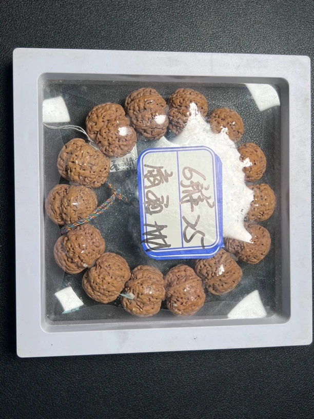 六瓣扇面金刚菩提25mm
