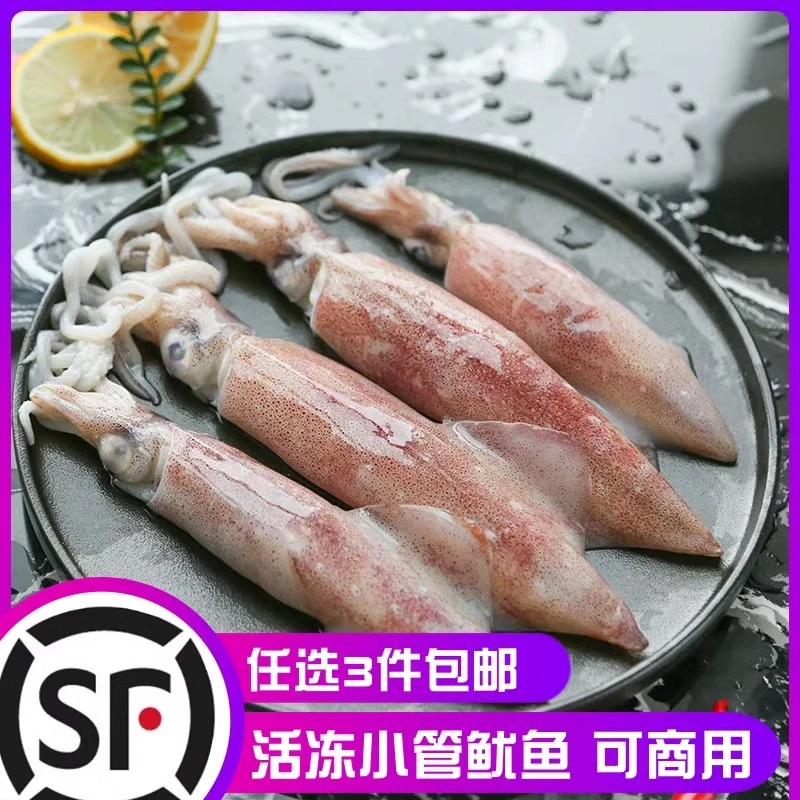 海兔子公母鱿鱼海鲜水产活冻一份500g装笔管鱿鱼