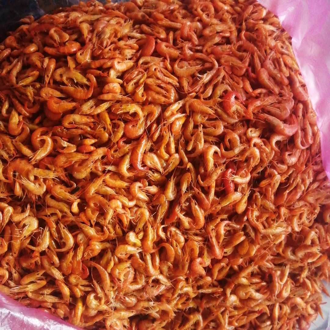 （小河虾）湘西赶集直播特产土产干货小鱼小虾豆豉酸菜100克起