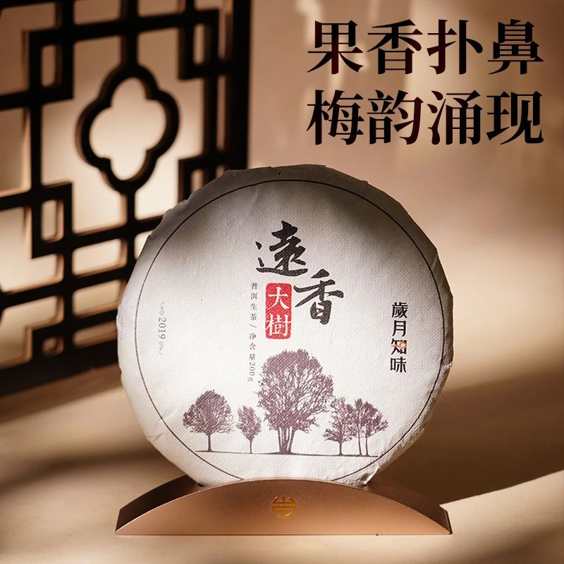 岁月知味 2019年远香大树茶 邦东 古树春茶   普洱生茶 200克