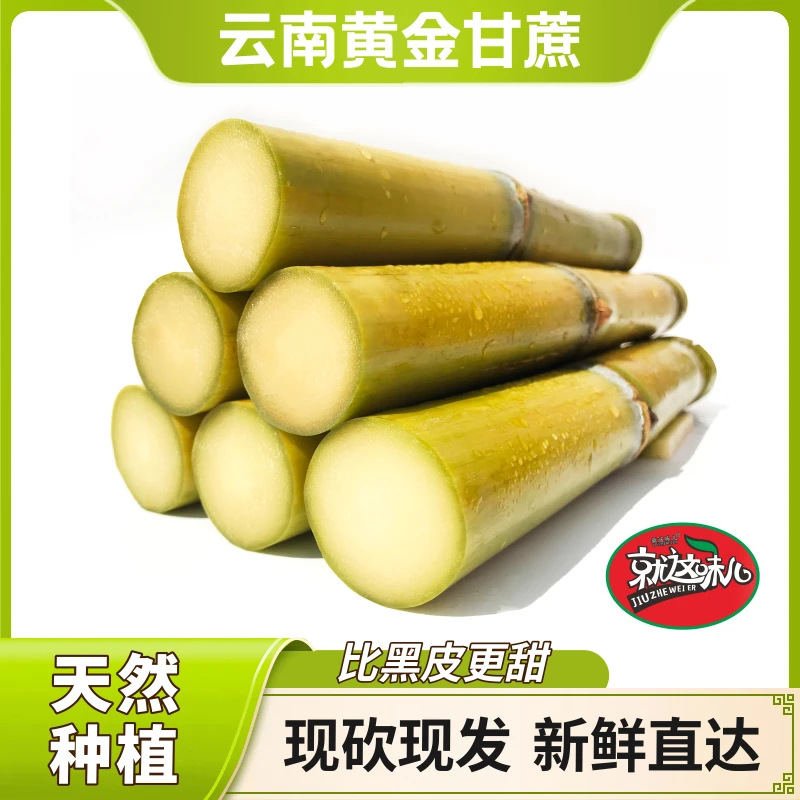 【就这味儿】黄金甘蔗5/9斤装（不能手撕皮）汁水清甜