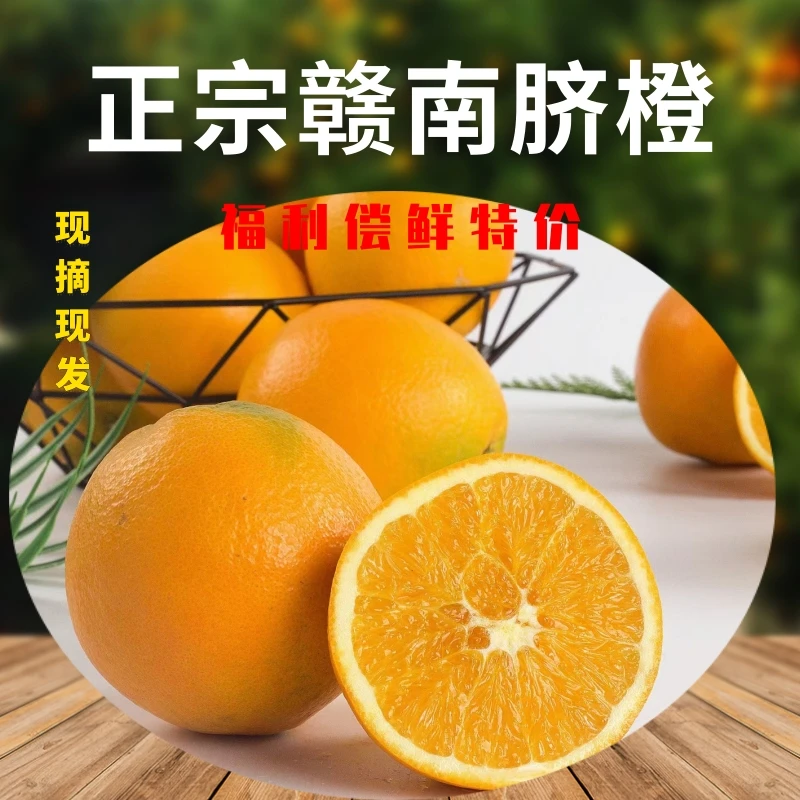 【福利偿鲜特价】江西赣南脐橙新鲜甜橙子现摘现发水果鲜香甜多汁