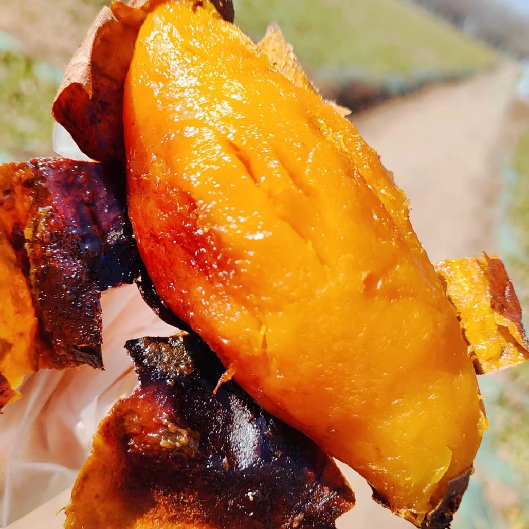 糖心流油农家地瓜白心冰糖哈密五斤装