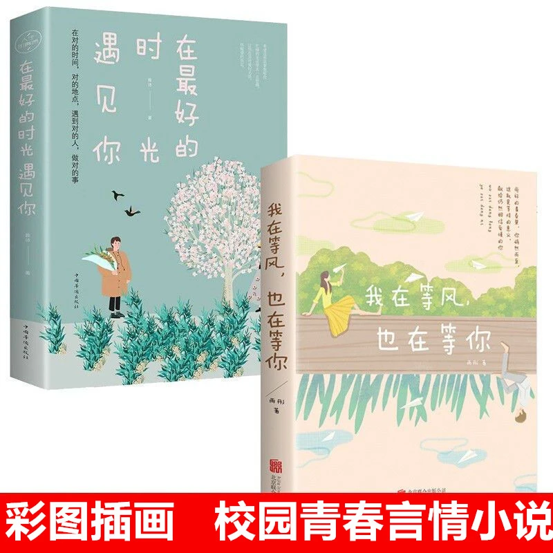 在Z好的时光遇见你我在等风也在等你校园青春言情小说霸道总裁