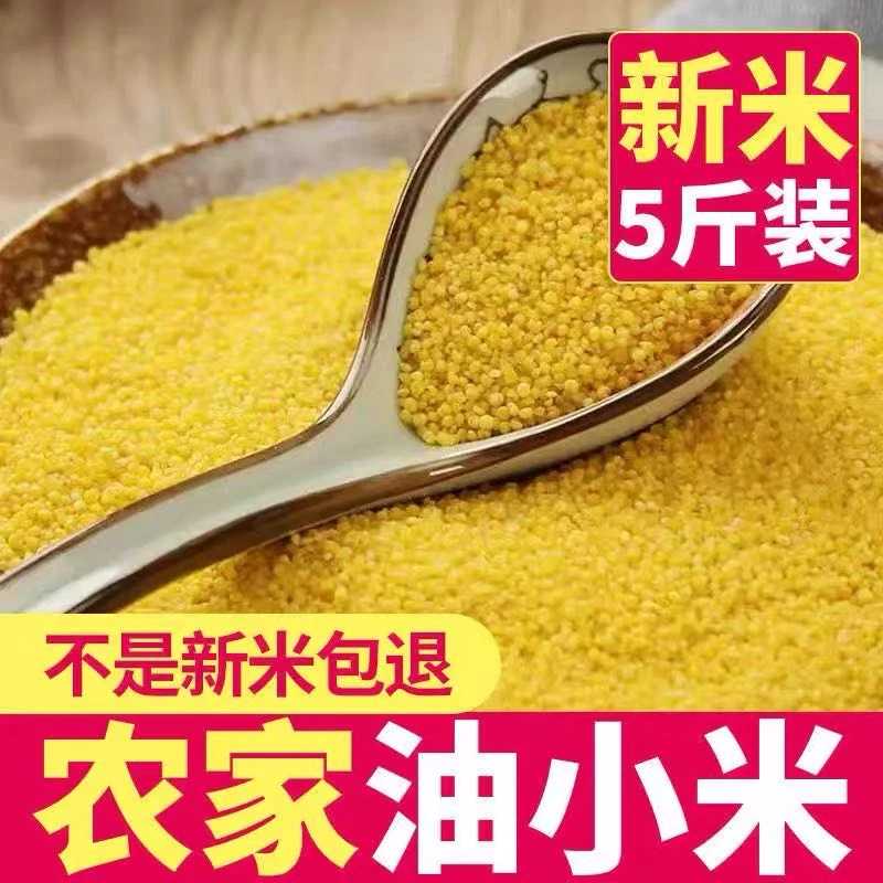【新庄村】黄小米2023年当季新鲜农家小米米油浓厚