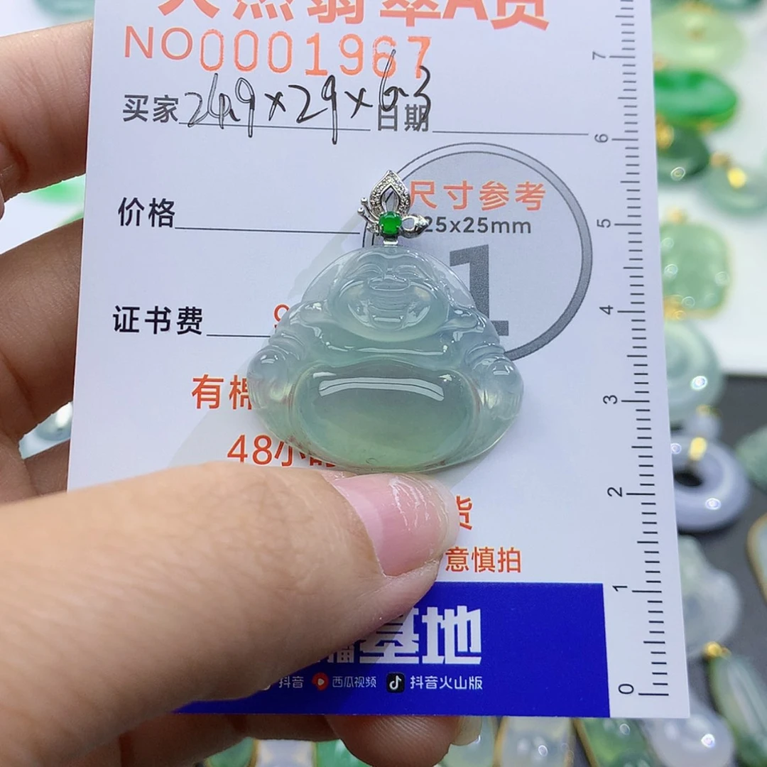 【闪购商品】翡翠颈饰未镶嵌-**象颈饰9