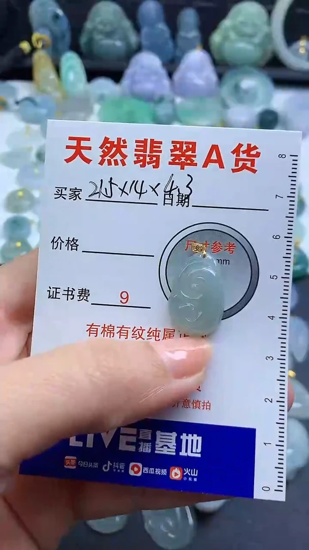 【闪购商品】翡翠颈饰未镶嵌1