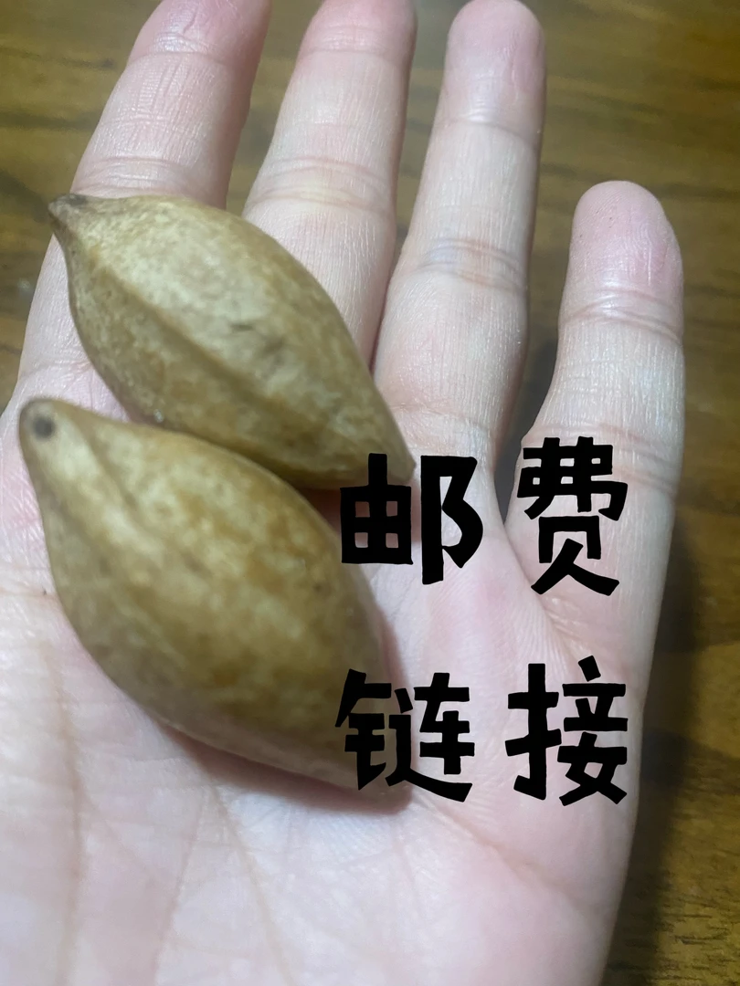 邮费/定制/专用链接