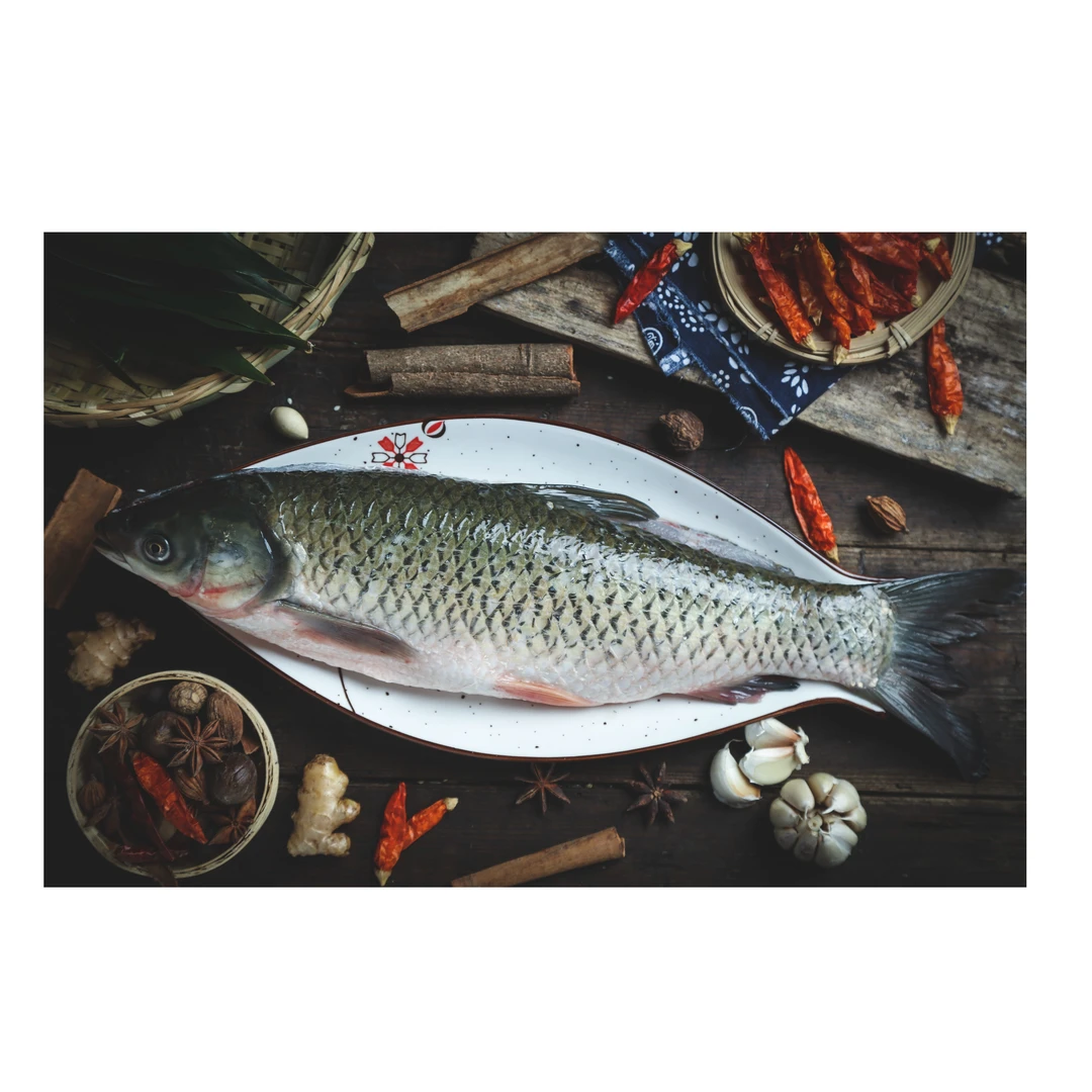 新鲜草鱼一条{默认宰杀}1500g-1800g