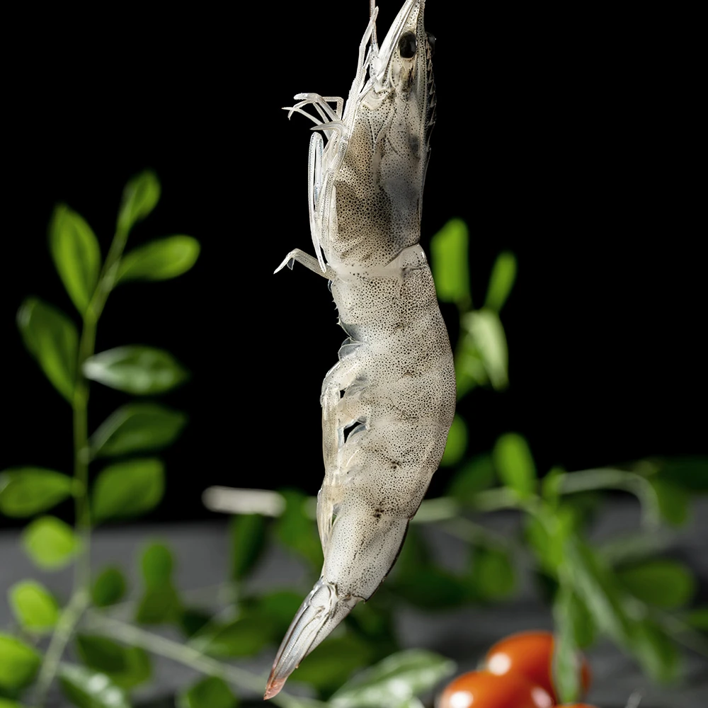 GUOLIAN国联水产原装进口低脂健身盐冻3040沙特虾2Kg×1盒