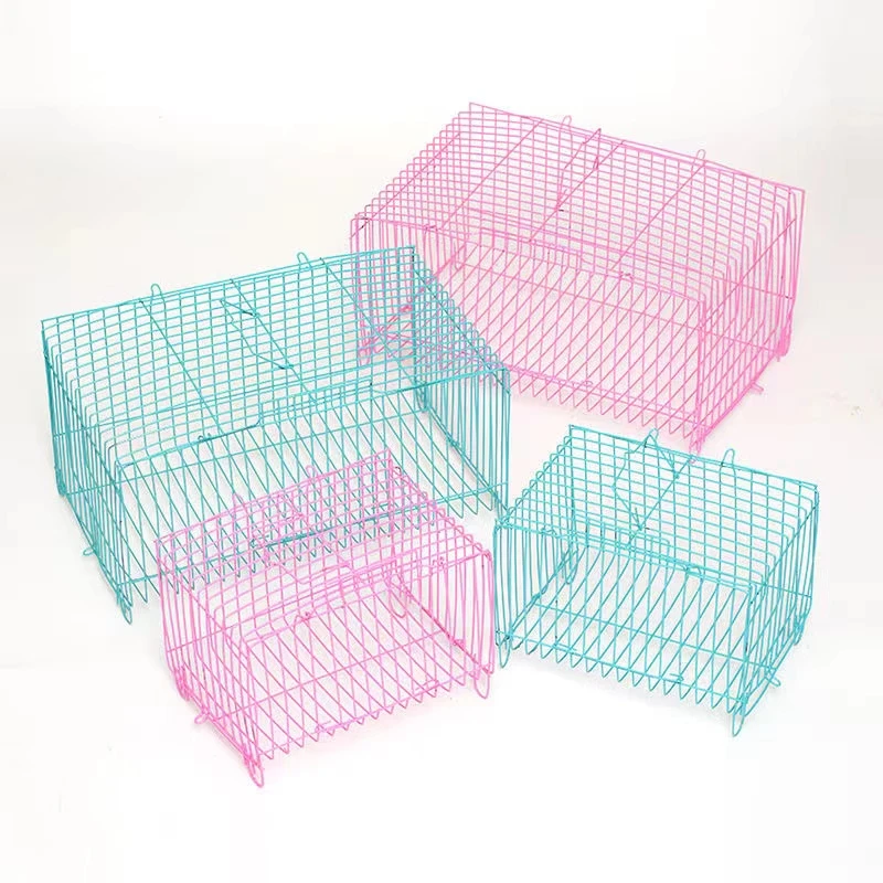 鹦鹉玩一物一拍，直播间选好再下单