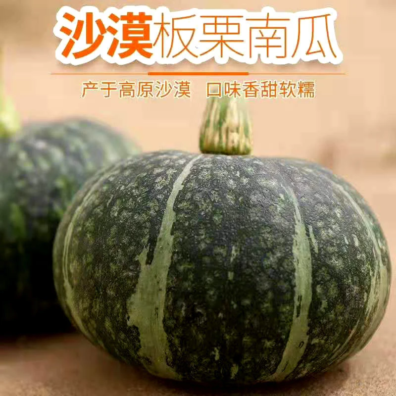 甘肃民勤沙漠板栗南瓜宝宝辅食老南瓜非贝贝小南瓜批发包邮3/8斤
