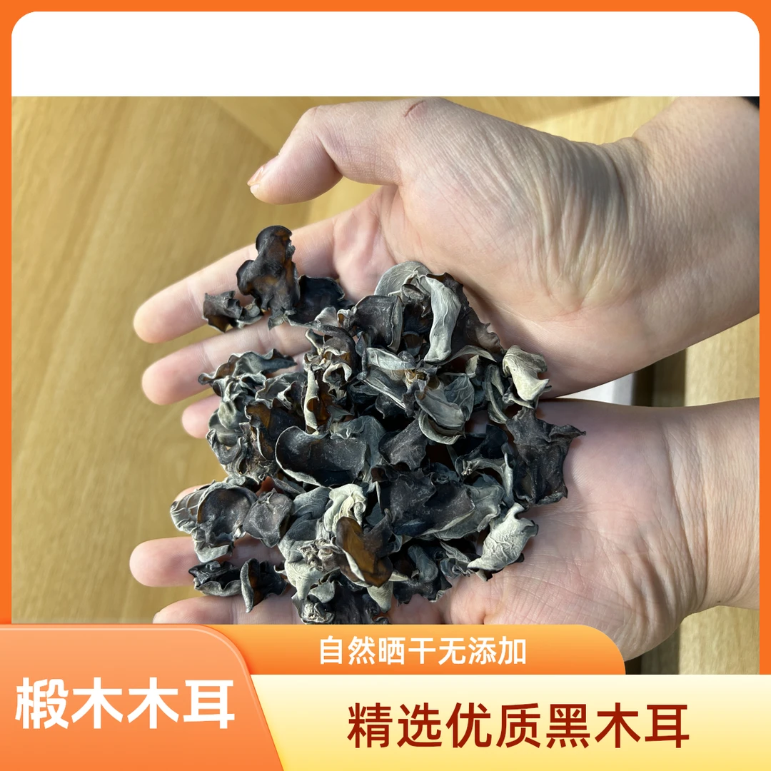 大巴山青冈树椴木干木耳