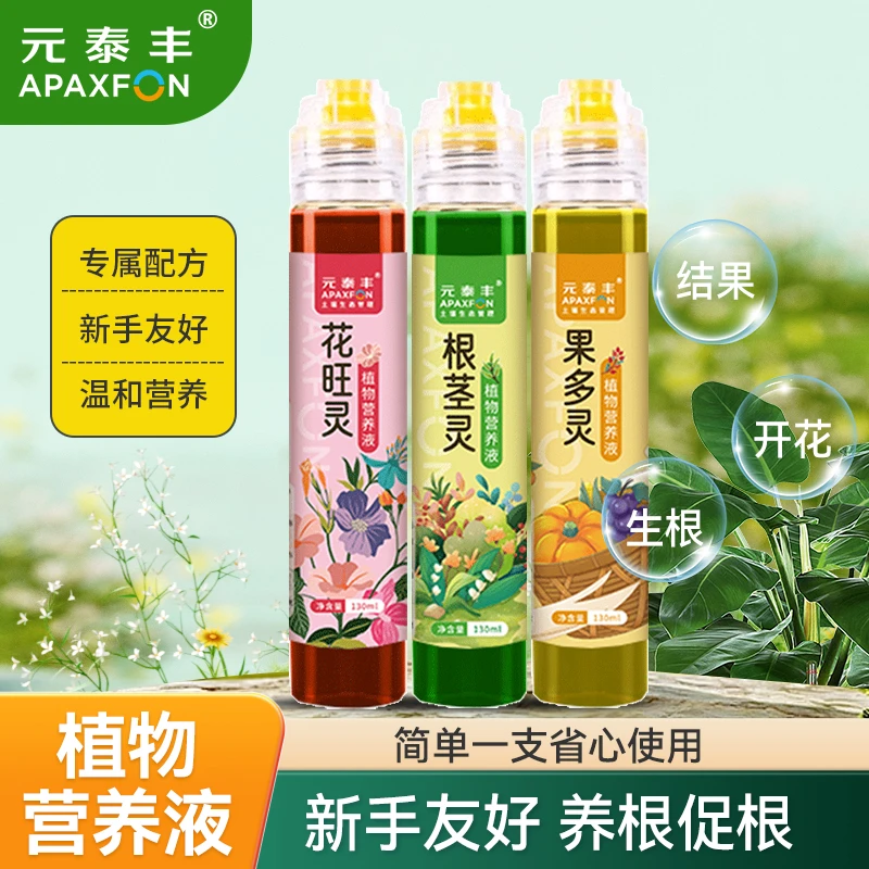 【加急发货】元泰丰根茎灵花旺灵果多灵盆栽绿植花卉发财树