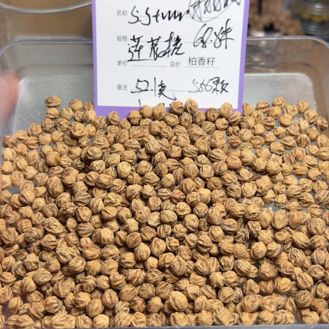 【闪购商品】柏香籽/百香籽吊坠A*v
