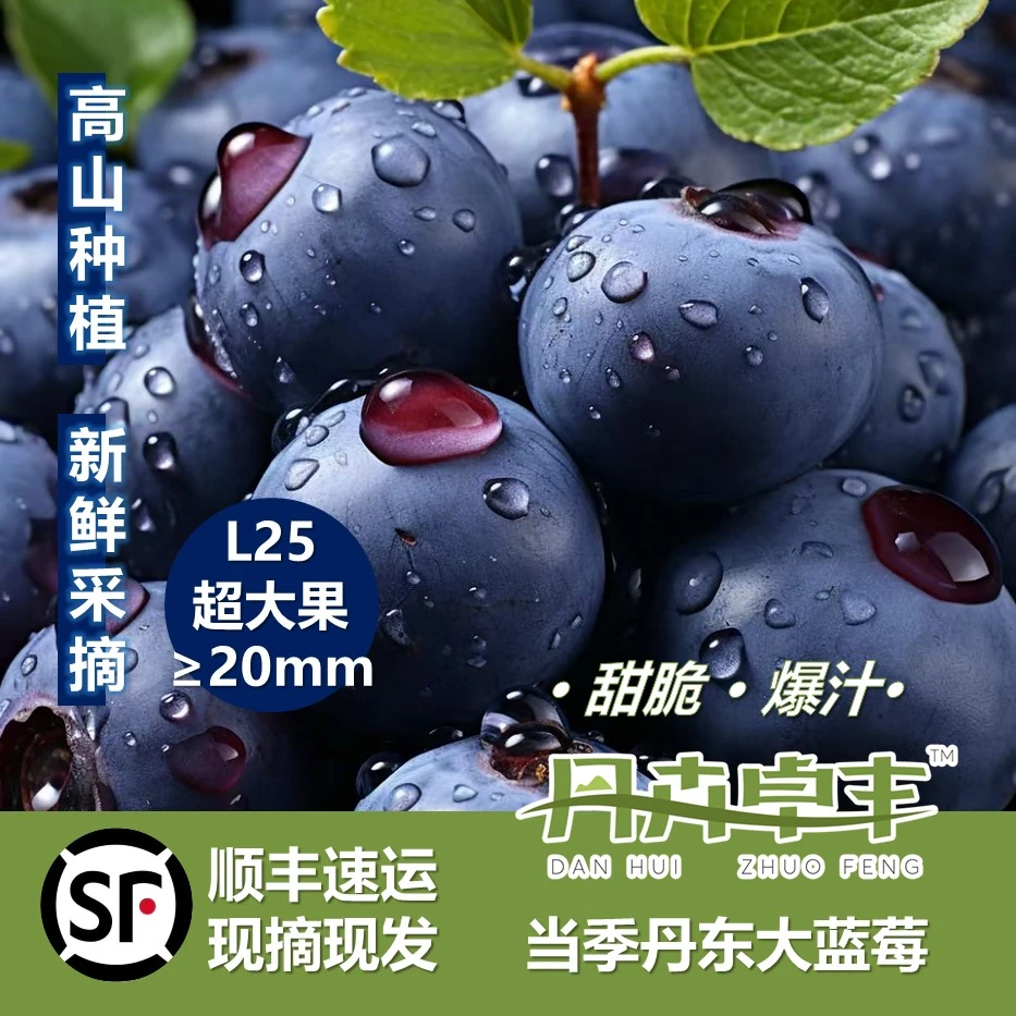 丹东L25蓝莓甜蓝莓卓丰大蓝莓花香蓝莓