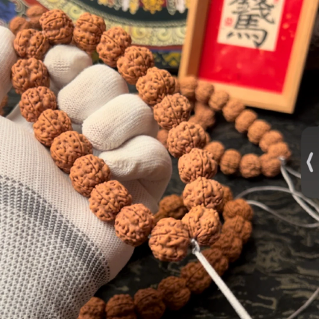 【龙王战神】金刚菩提手串