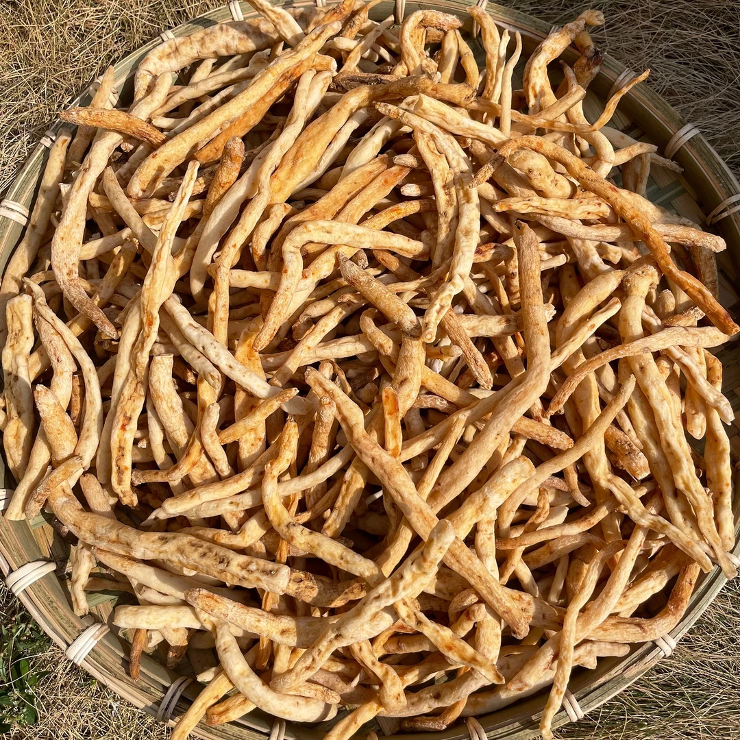 【山货-好物】沙参 云南现收山货土特产