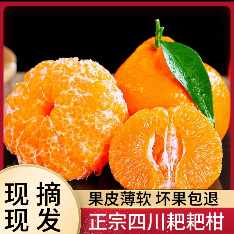 【耙耙柑】新鲜中果酸甜果粒大果品种脆嫩春见耙耙柑清甜产品皮 2斤