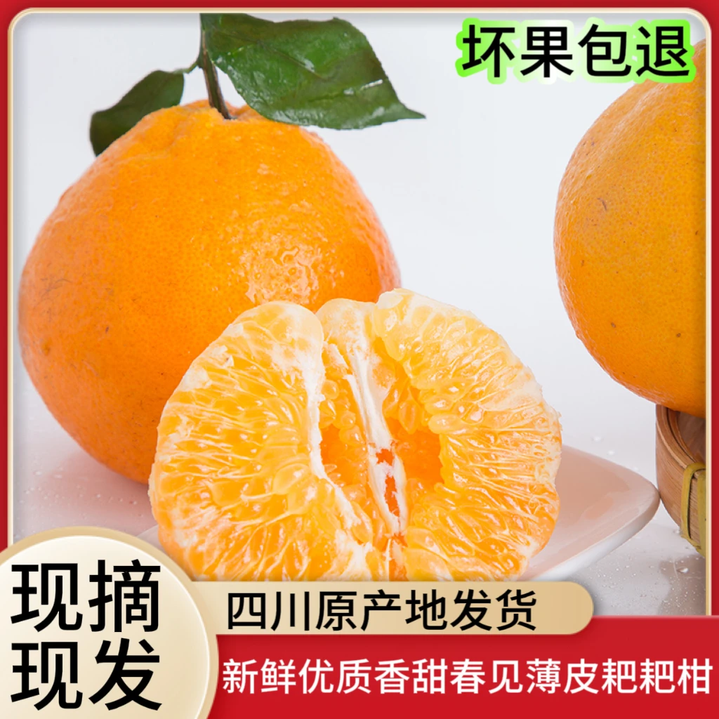 【春见耙耙柑】新鲜优质皮薄薄皮多汁甄选品质原产地产品味多汁 1斤