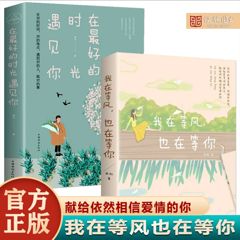 正版 我在等风也在等你  青春校园催泪耽美爱情小说 情感治愈系书