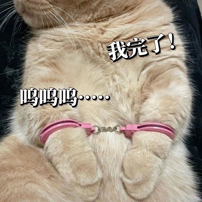 宠物猫咪小手铐恶搞小玩具迷你链子脚铐逗猫玩具仿真可打开热门