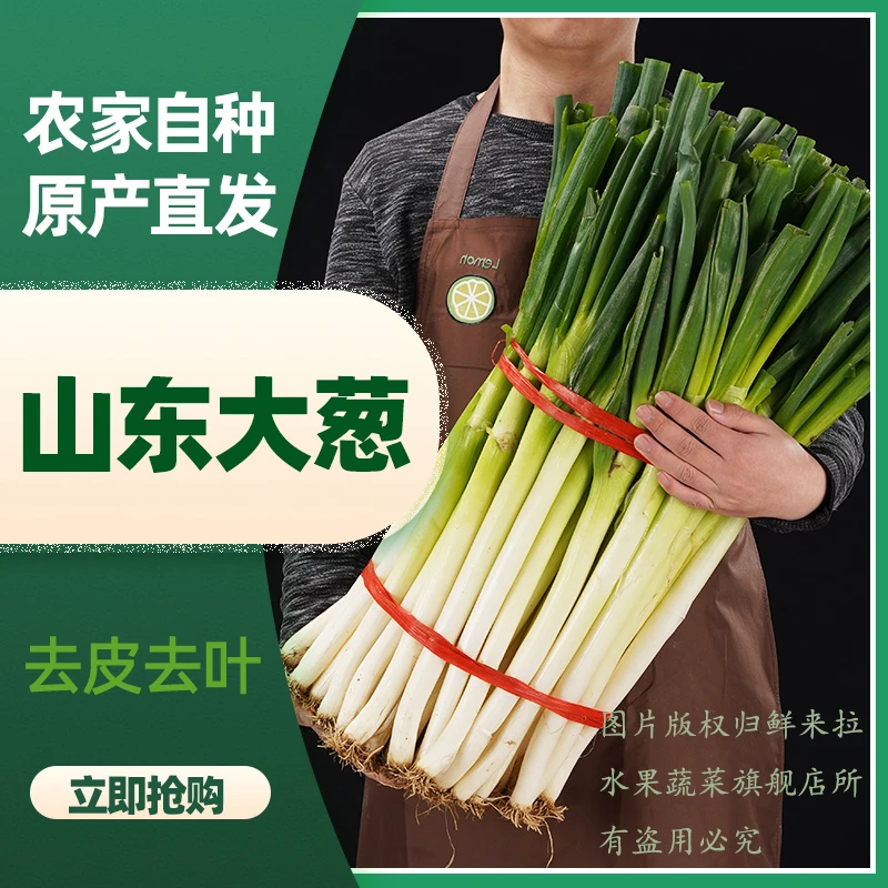 现挖现发山东大葱铁杆葱笨葱蘸酱新鲜蔬菜非章丘大葱5斤3斤