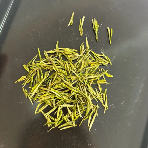 奶白1号 2025年 新茶绿茶