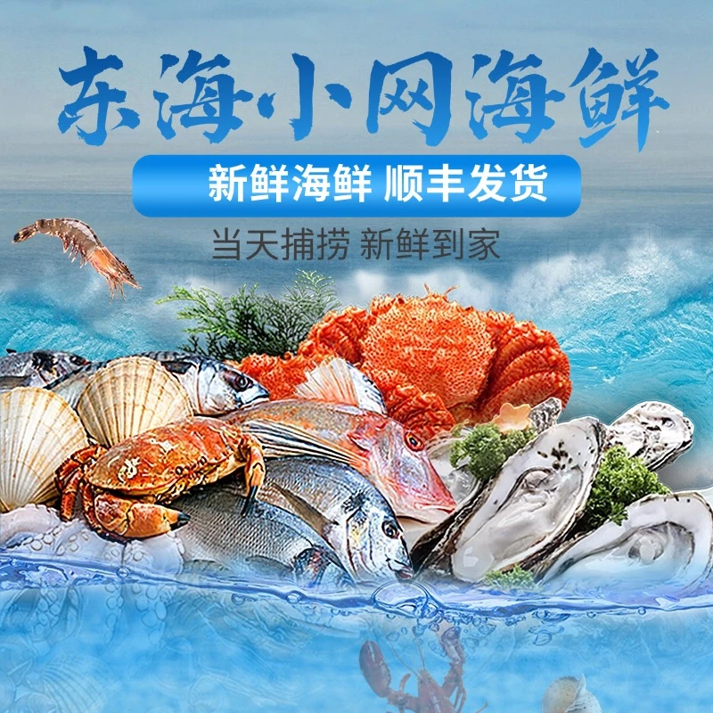 喜鲜港（第二网）东海海鲜现场捕捞
