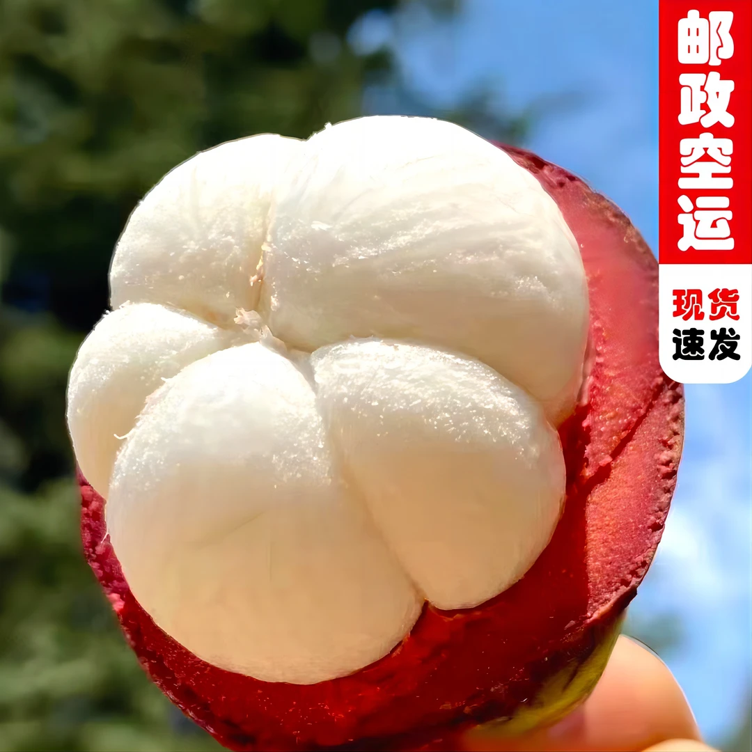 【鲜果优选2】泰国进口山竹老树沙麻竹1-5斤装邮政新鲜香甜圆润食用