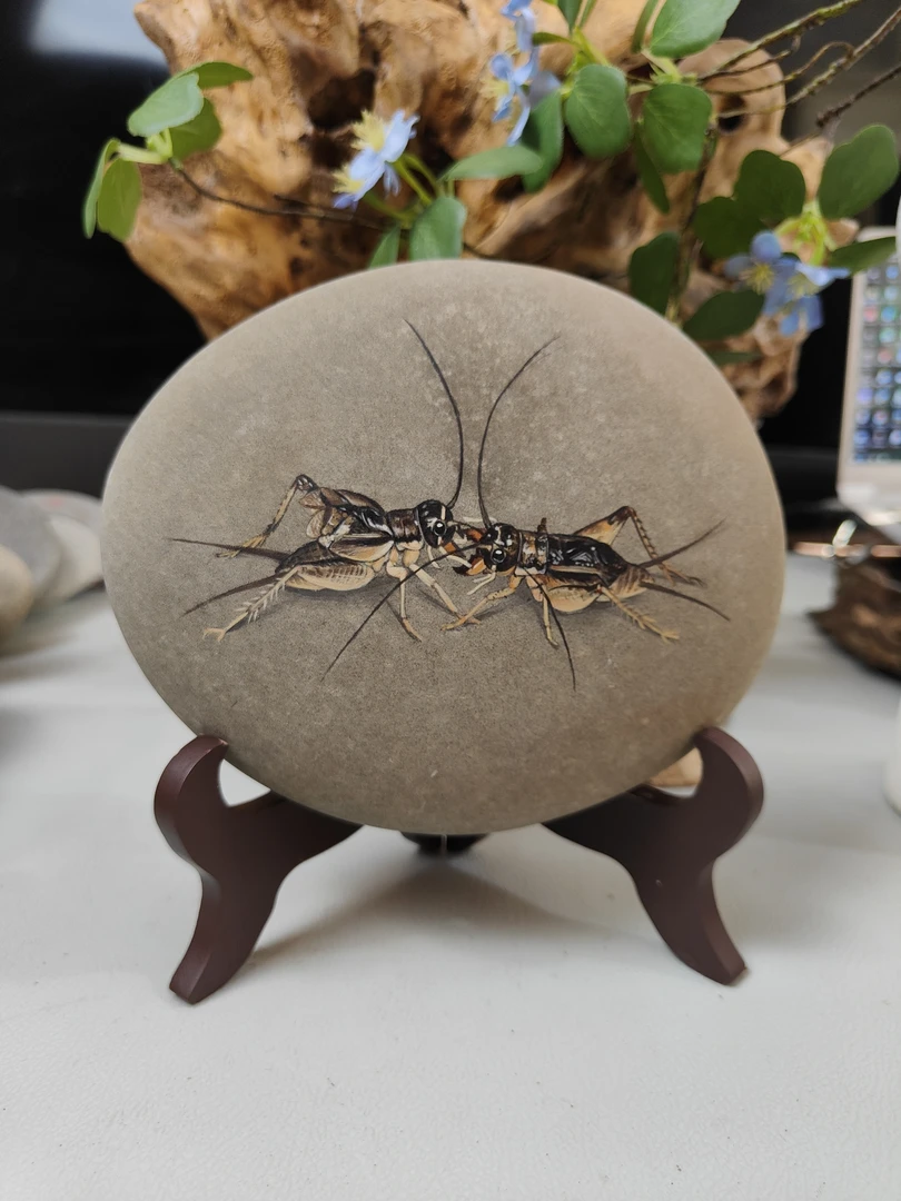 新款写实蛐蛐老虎纯手工树桩手绘石头画摆件工艺品，桌面摆件