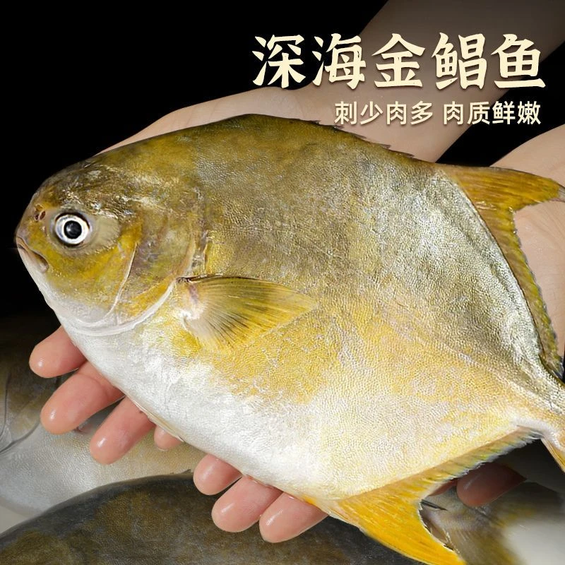 【四条】山东发货 新鲜冷冻深海金鲳鱼 1.3斤-1.4斤/条 到手四条