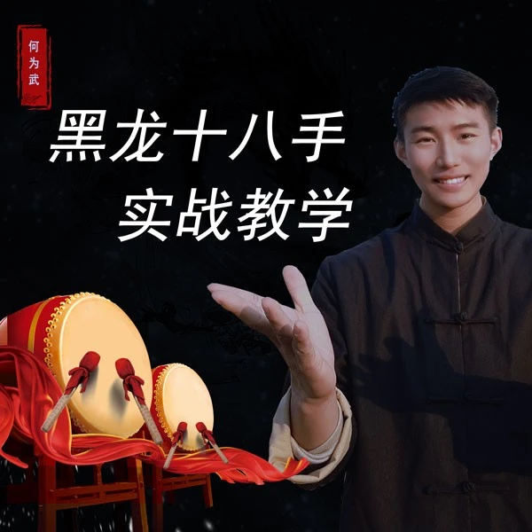 黑龙十八手实战教学