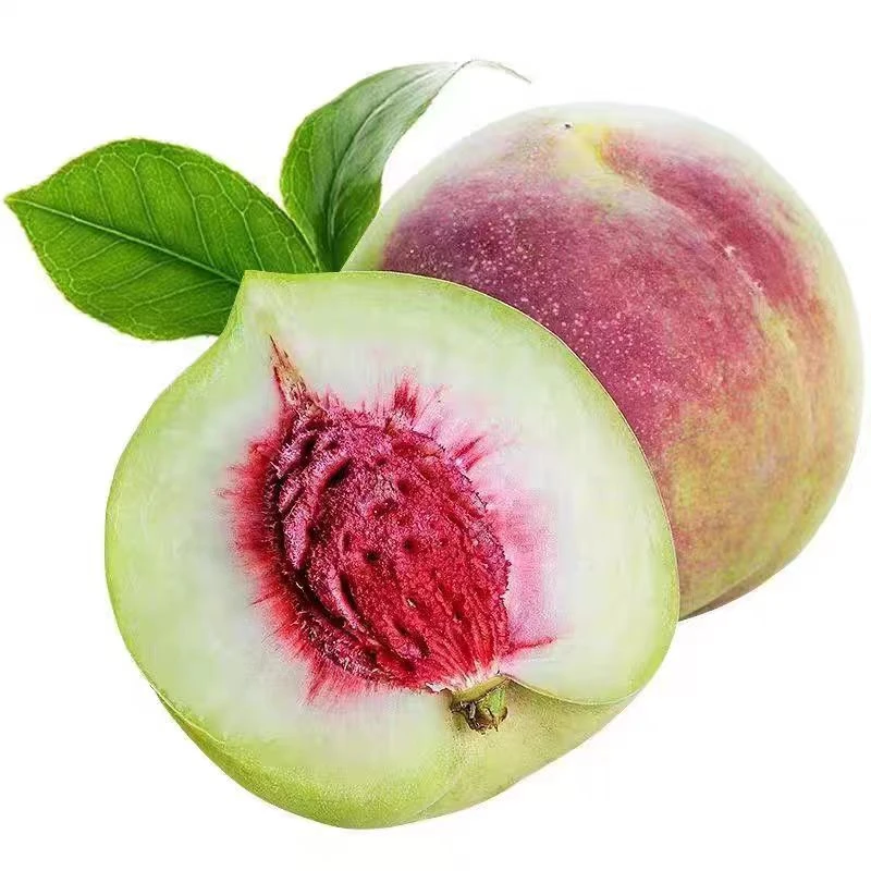 山东青州蜜桃新鲜水果现摘现发秋桃脆桃半离核应季秋桃包邮