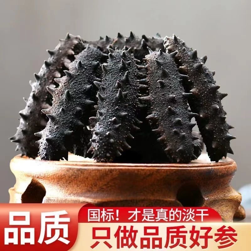 200头淡干货海参小俄参 干品海参