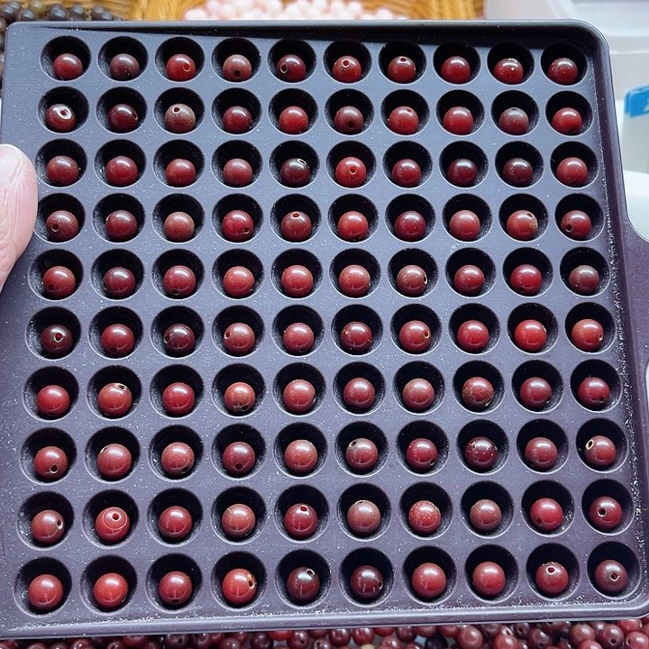 白玉菩提吊坠瑕疵8车厘子圆珠100卡灯牌宠100