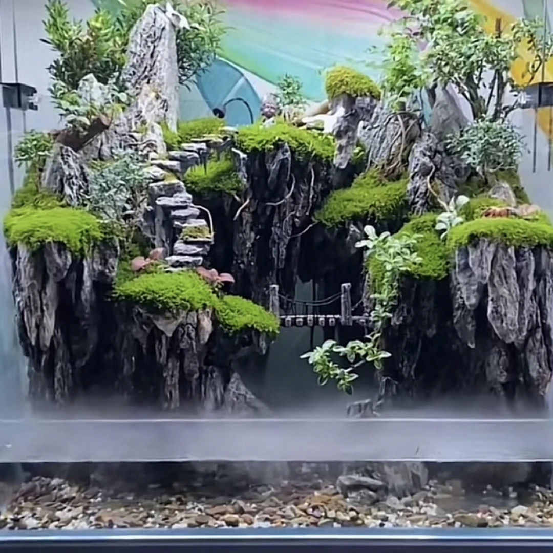 40*30*28生态鱼缸真植物鱼缸养鱼龟缸纯手工打造苔藓懒人室内景观