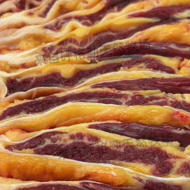 【牛腩】呼伦贝尔大草原散养新鲜黄膘肉质牛腩原切