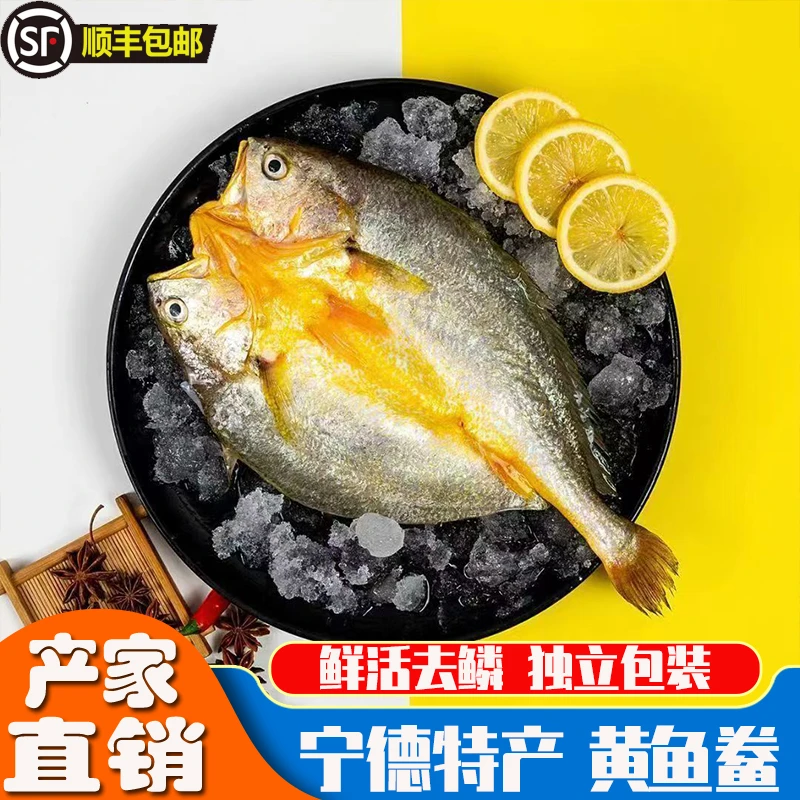【半斤*8条】宁德霞浦黄鱼鲞咸香大黄鱼黄花鱼原产地免洗免杀精调味